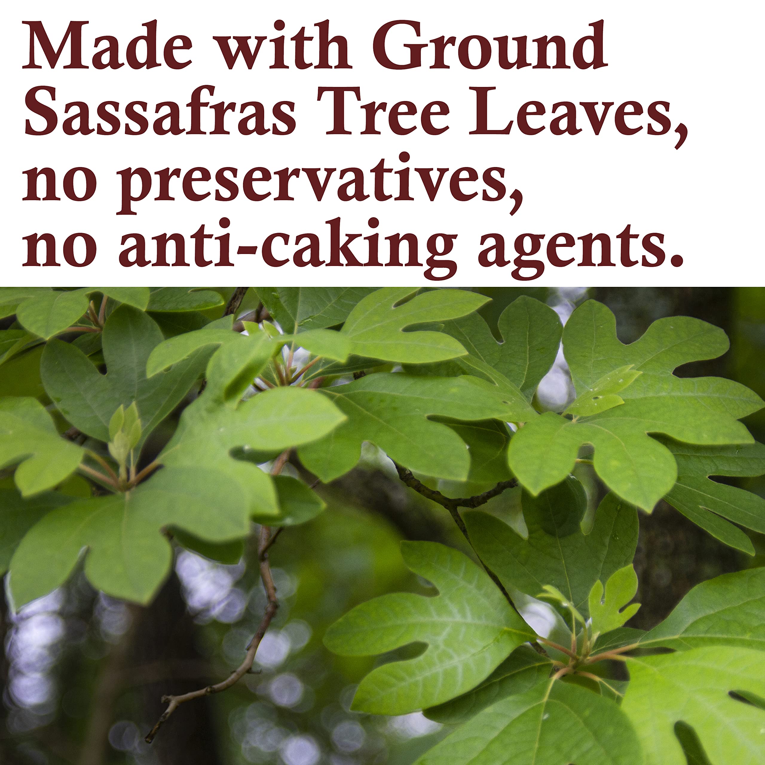 The Spice Way ground sassafras leaves provide aromatic base for stews and sauces