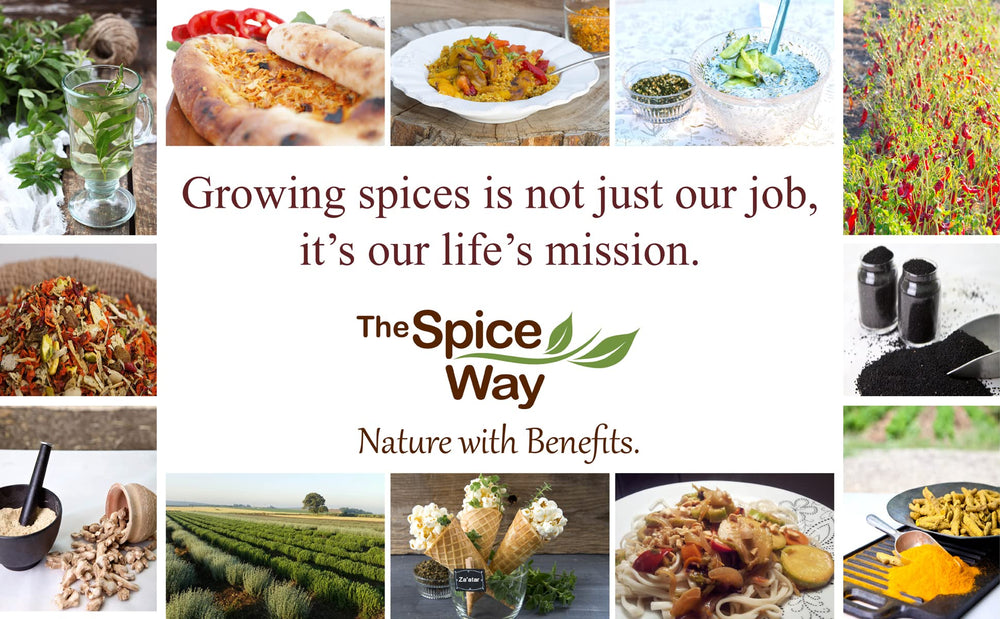 The Spice Way hand-picked sassafras leaves deliver rich aroma for sauces