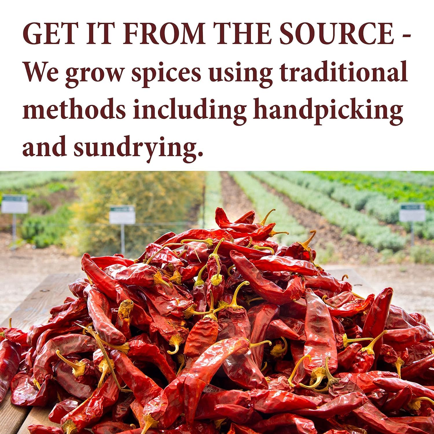 Close-up of the Hawayij spice blend highlighting its rich textures.