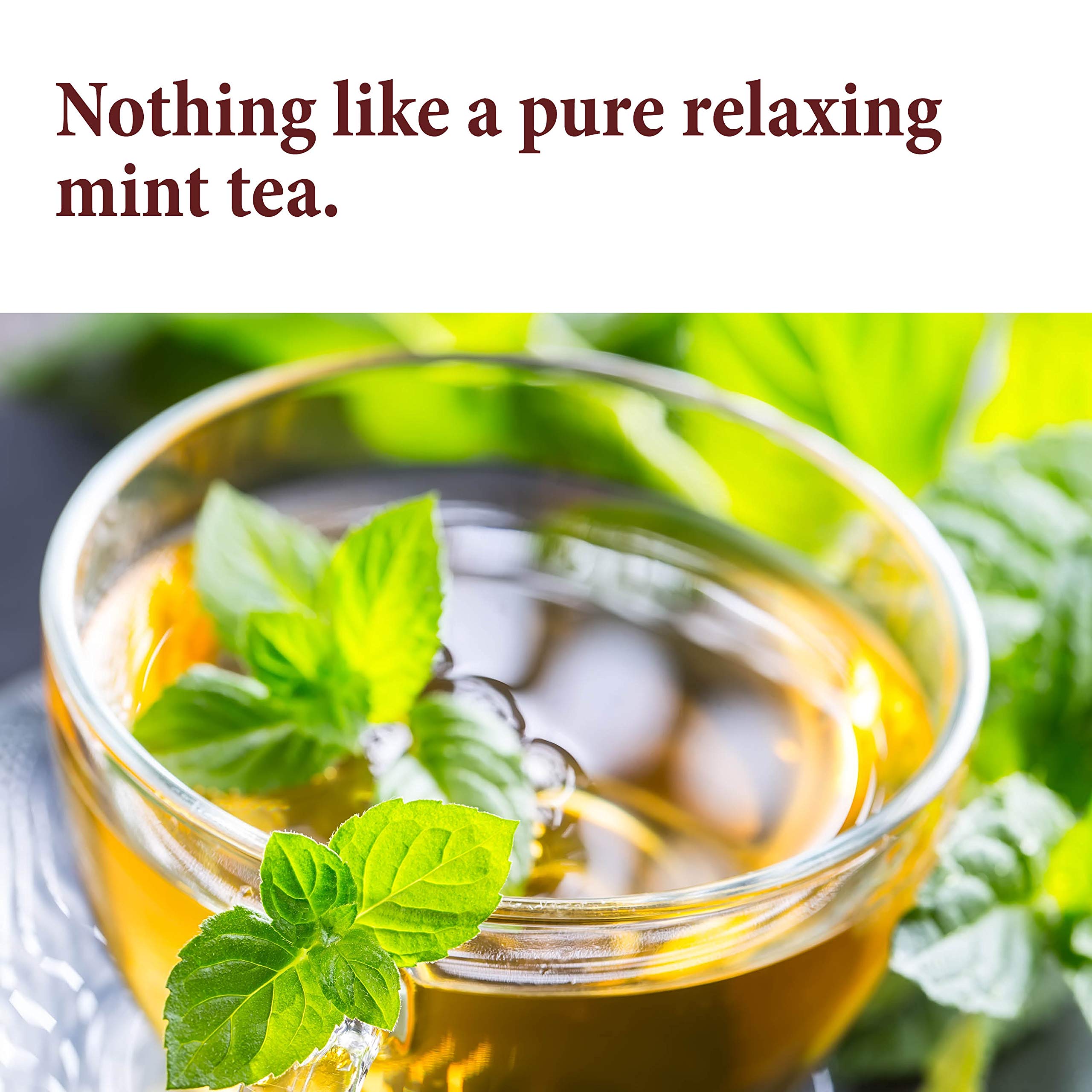 The Spice Way Mint Leaves tea infusion, ideal for hot or iced beverages.