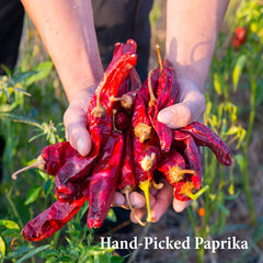The Spice Way Paprika Powder closeup emphasizes deep red hue and bright aroma.