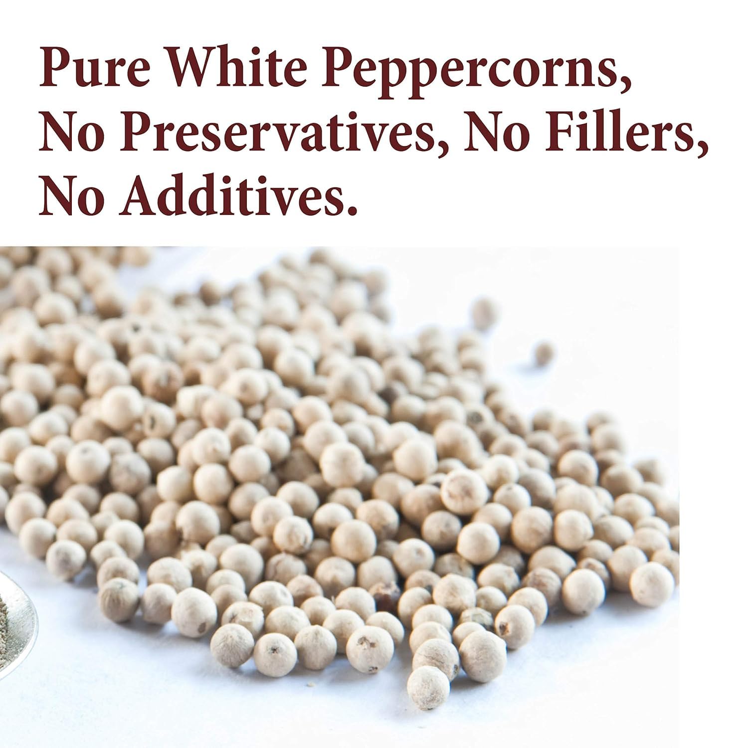 Close-up of The Spice Way white peppercorns showing quality texture.