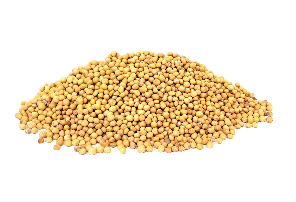 The Spice Way Yellow Mustard Seed farm-to-table processing and quality