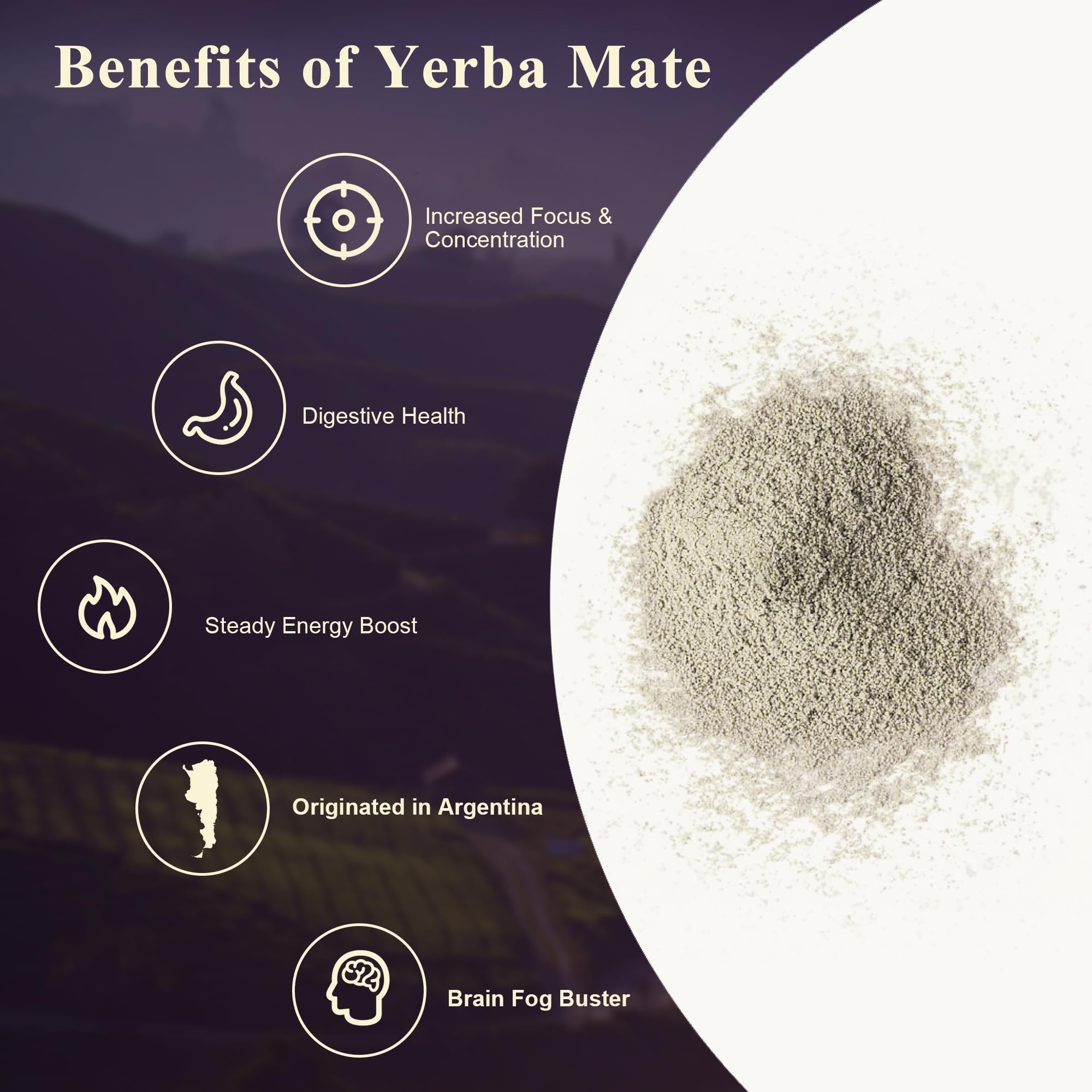 THEANECHO natural botanicals and adaptogens package for balanced energy