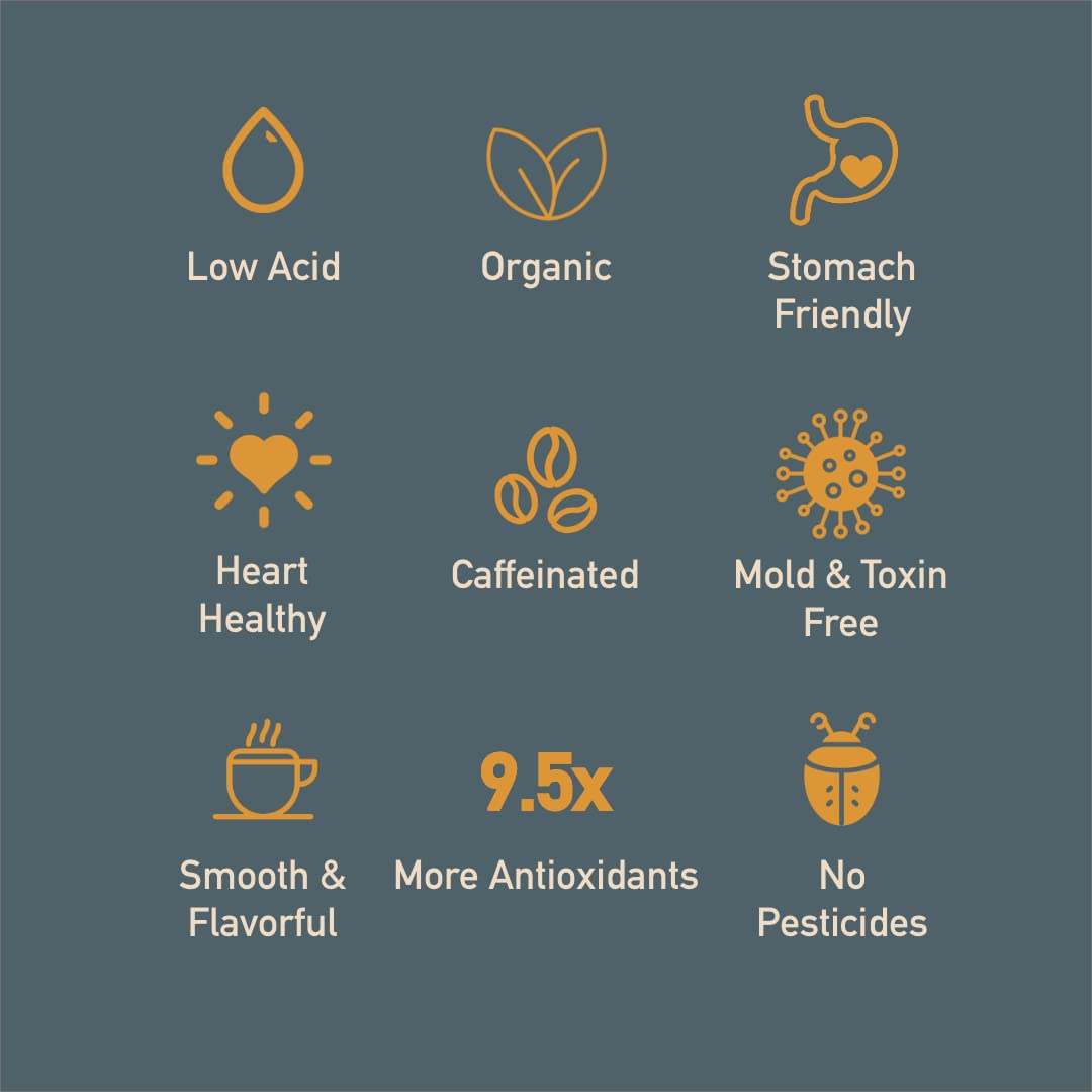 Thompson's Healthy Bean Low Acid Pods cup-ready for quick, convenient brewing.