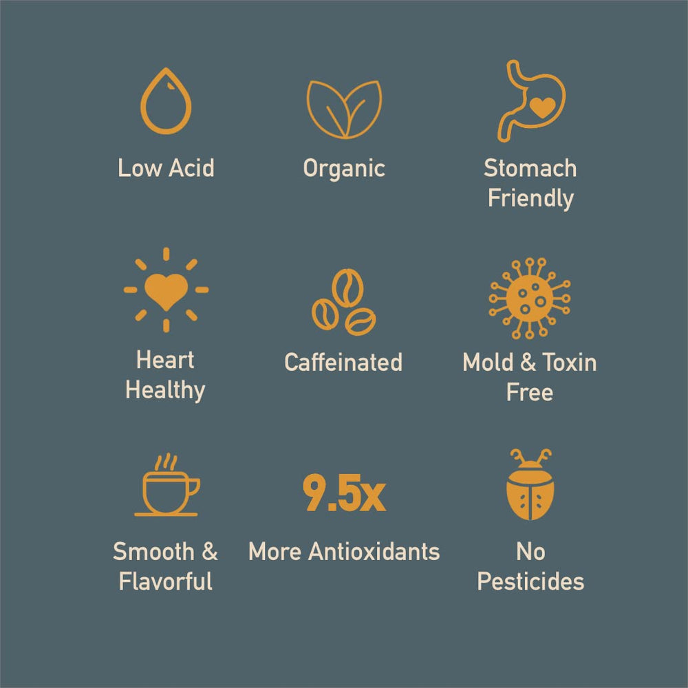 Thompson's Healthy Bean Low Acid Pods cup-ready for quick, convenient brewing.