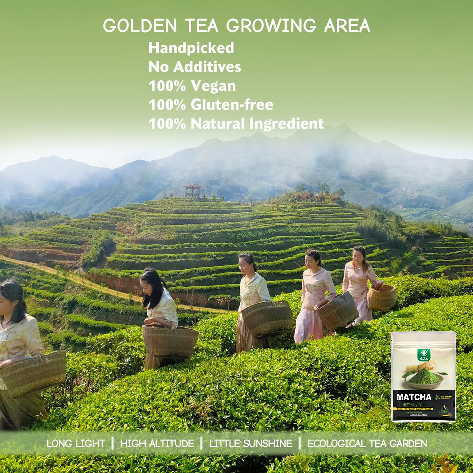 Tian Hu Shan matcha powder with a measuring spoon for precise recipes