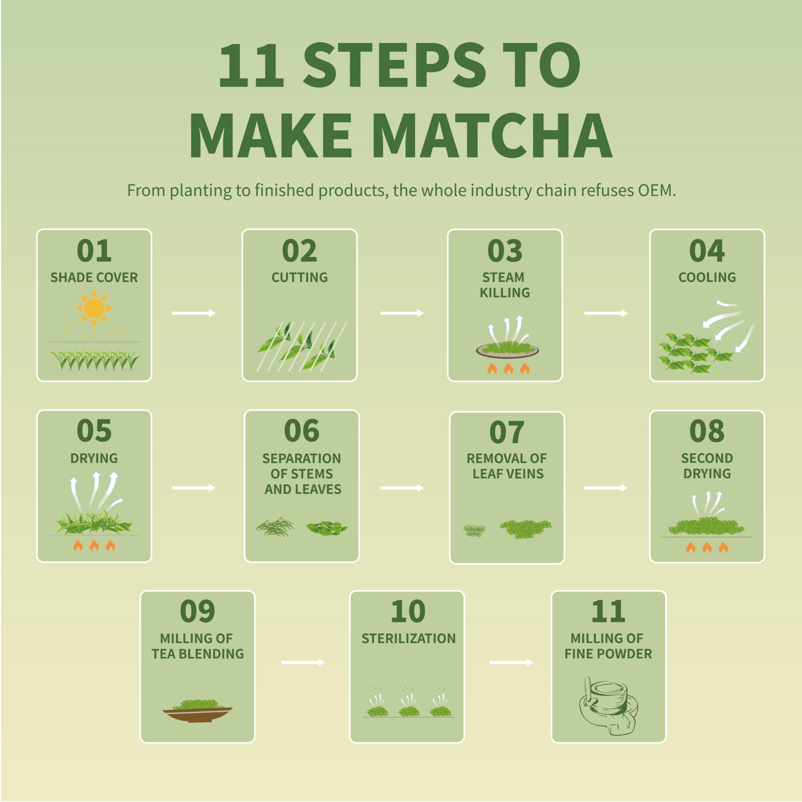 Tian Hu Shan matcha powder stored in a canister to preserve freshness