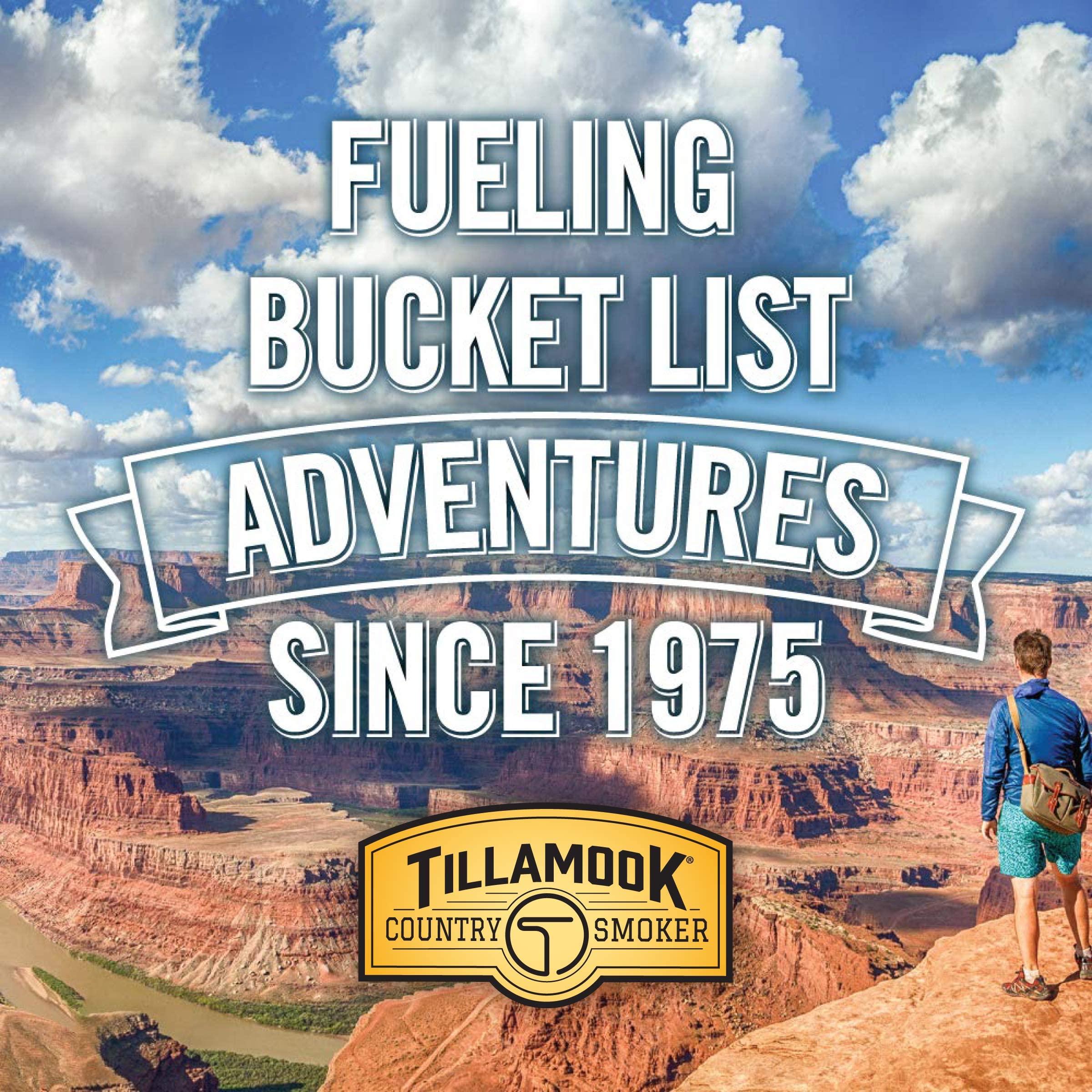 Tillamook Country Smoker 12-count tray ready-to-eat beef jerky