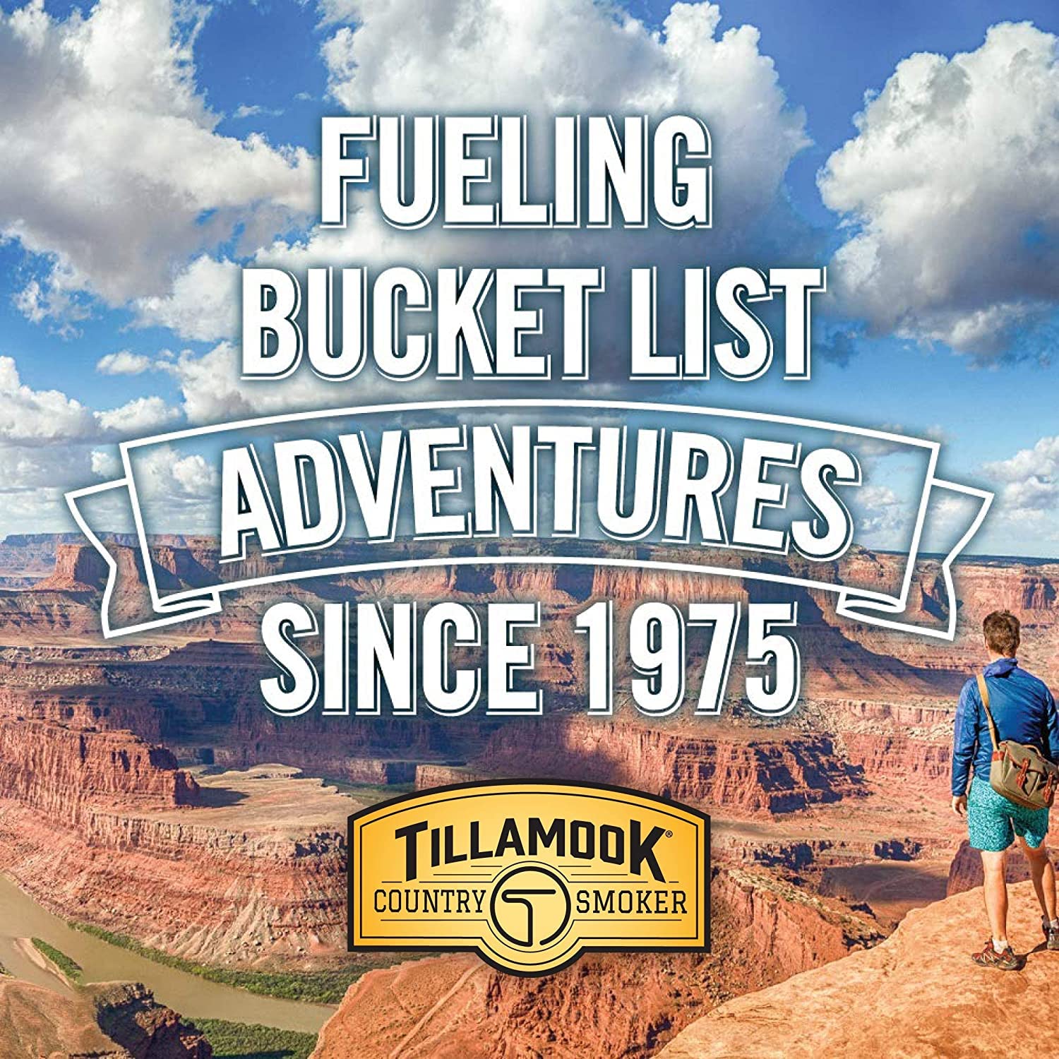 Tillamook Teriyaki beef jerky portion snack, ideal for travel.