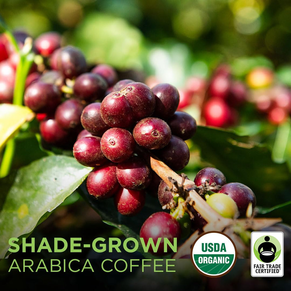 Tiny Footprint Coffee Signature Blend Light Roast grind reveals vibrant beans for even extraction