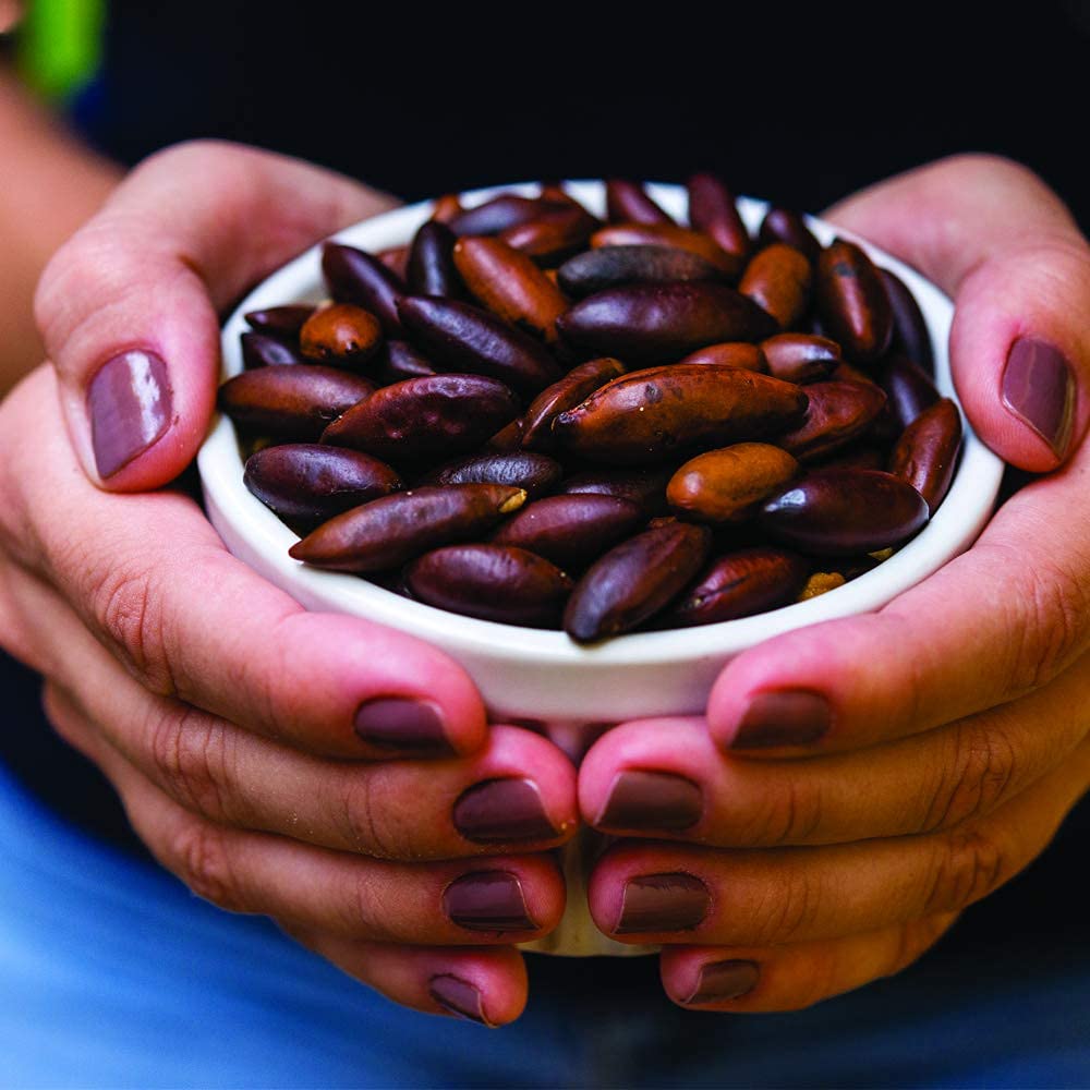 Trail mix with Baru Nuts, dried fruit, and seeds for on-the-go energy.