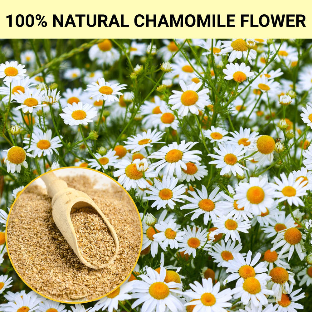 Tiucm Chamomile Tea Bags sun-dried flowers ready to brew a soothing cup.