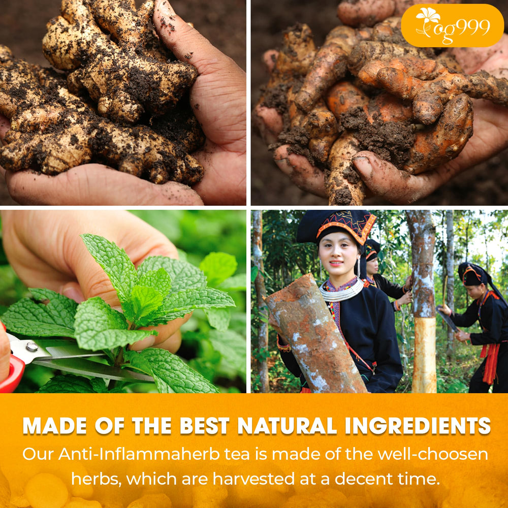 TOG999 Anti-Inflammaheb sun-dried ingredients deliver natural flavor