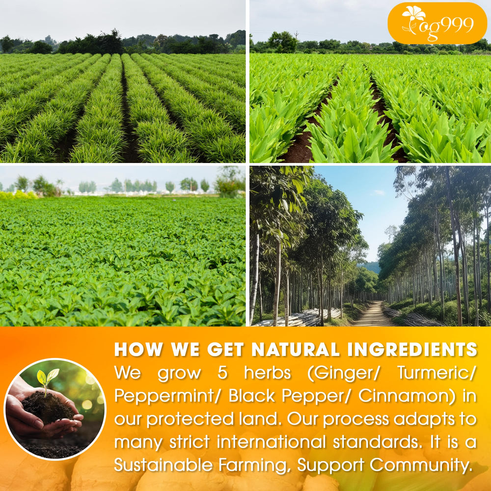 TOG999 Anti-Inflammaheb eco-friendly packaging safeguarding freshness