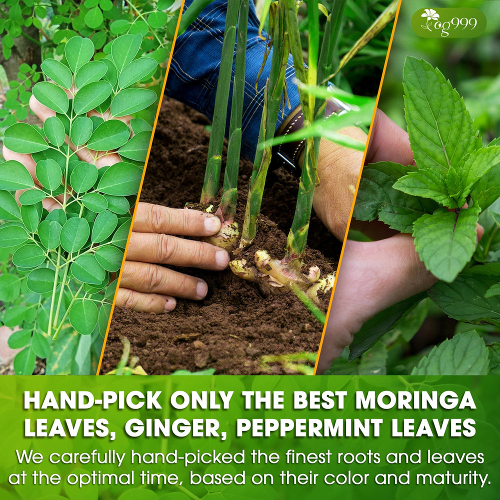 TOG999 ethically sourced herbs from trusted growers support sustainable farming