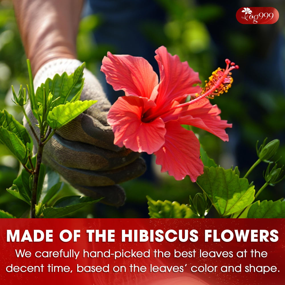 TOG999 hibiscus sustainability & sourcing highlights ethical harvest