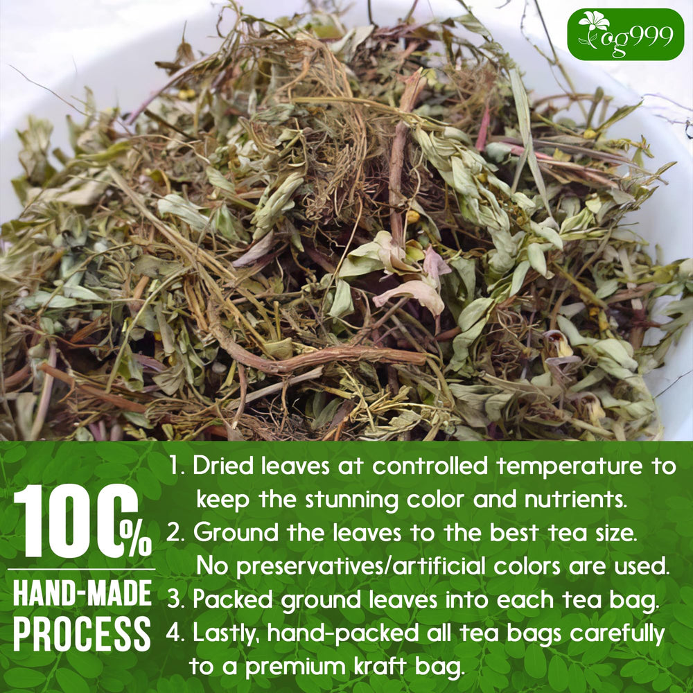 TOG999 tea bags in kraft packaging reinforcing eco-friendly freshness