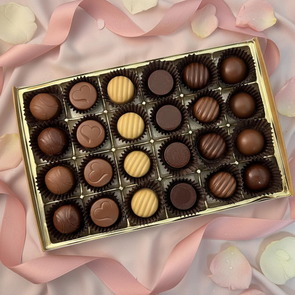 Capuccino and mocha centers encased in smooth glossy chocolate shells