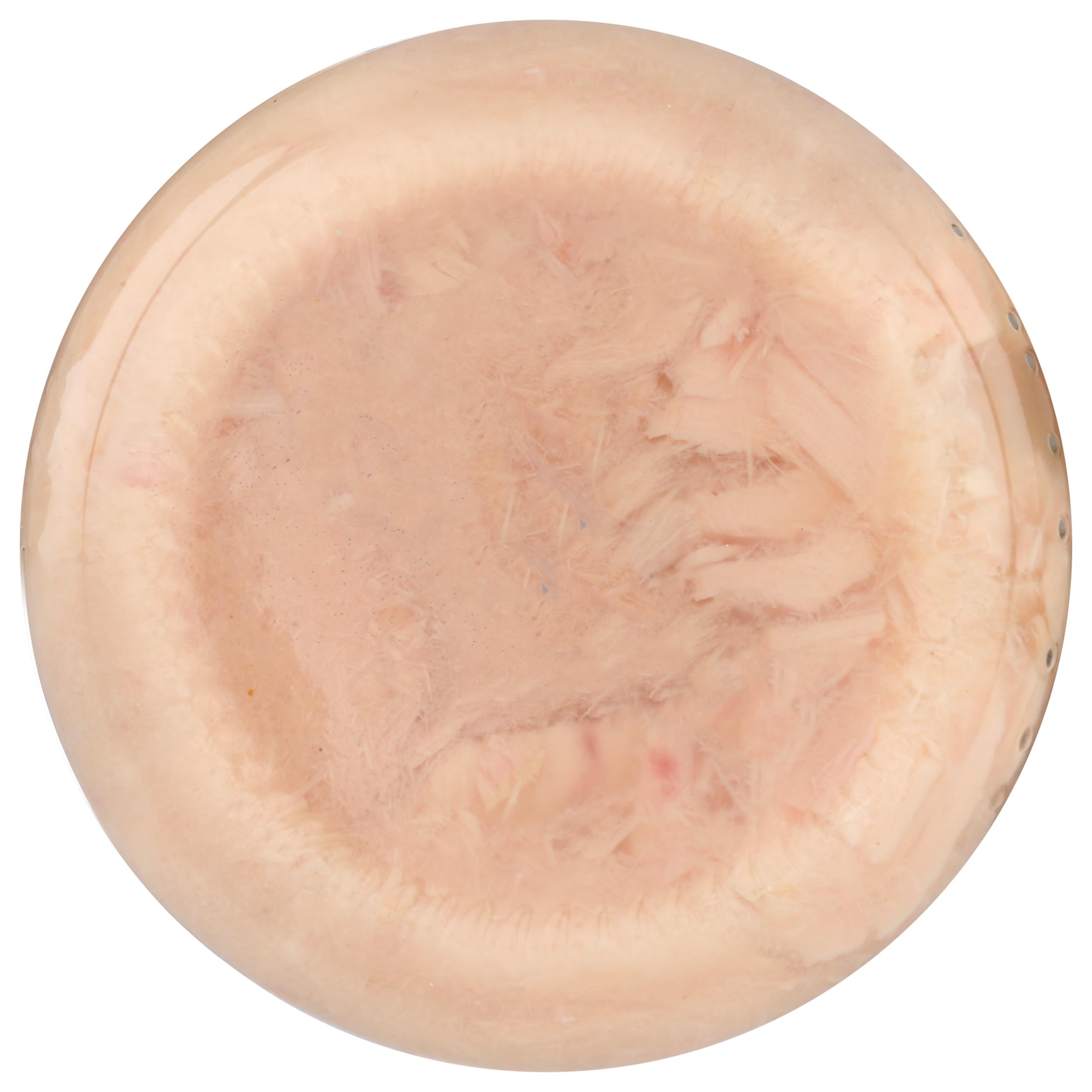 Tonnino tuna in spring water back view, premium packaging ideal for gifting.