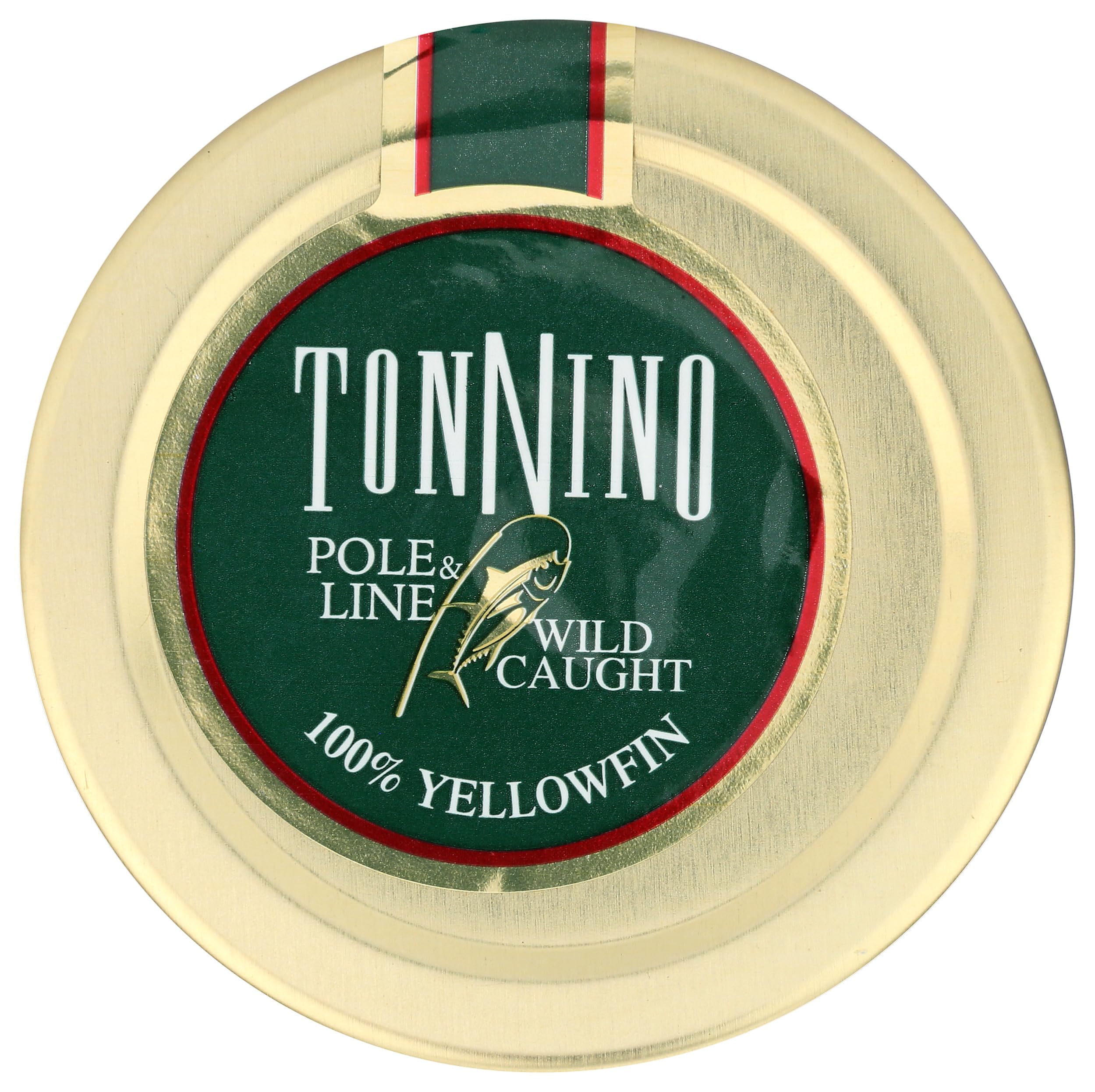 Tonnino served dish featuring yellowfin tuna with oregano ready to enjoy.