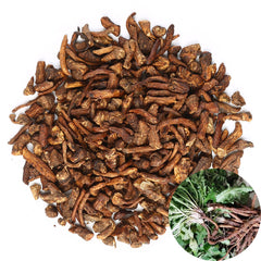 TooGet organic dandelion root cut-sifted packaging highlighting premium loose-leaf tea