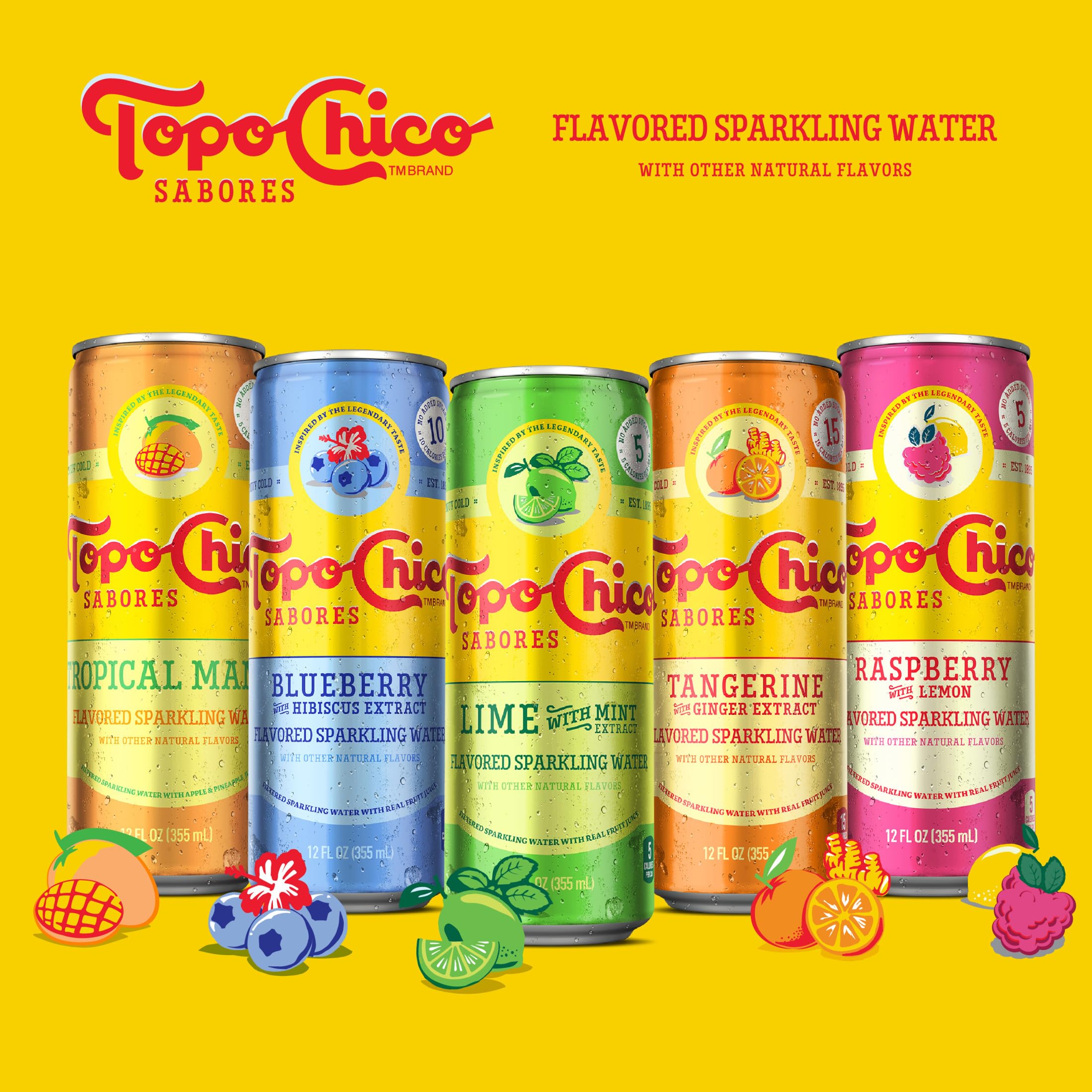 Topo Chico Sabores Raspberry with Lemon 12oz can on shelf signals everyday refreshment