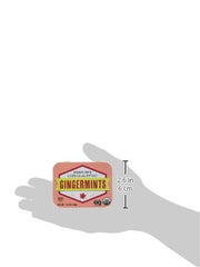 Trader Joe's Gingermints 40g tin provides convenient, organic flavor refreshment.