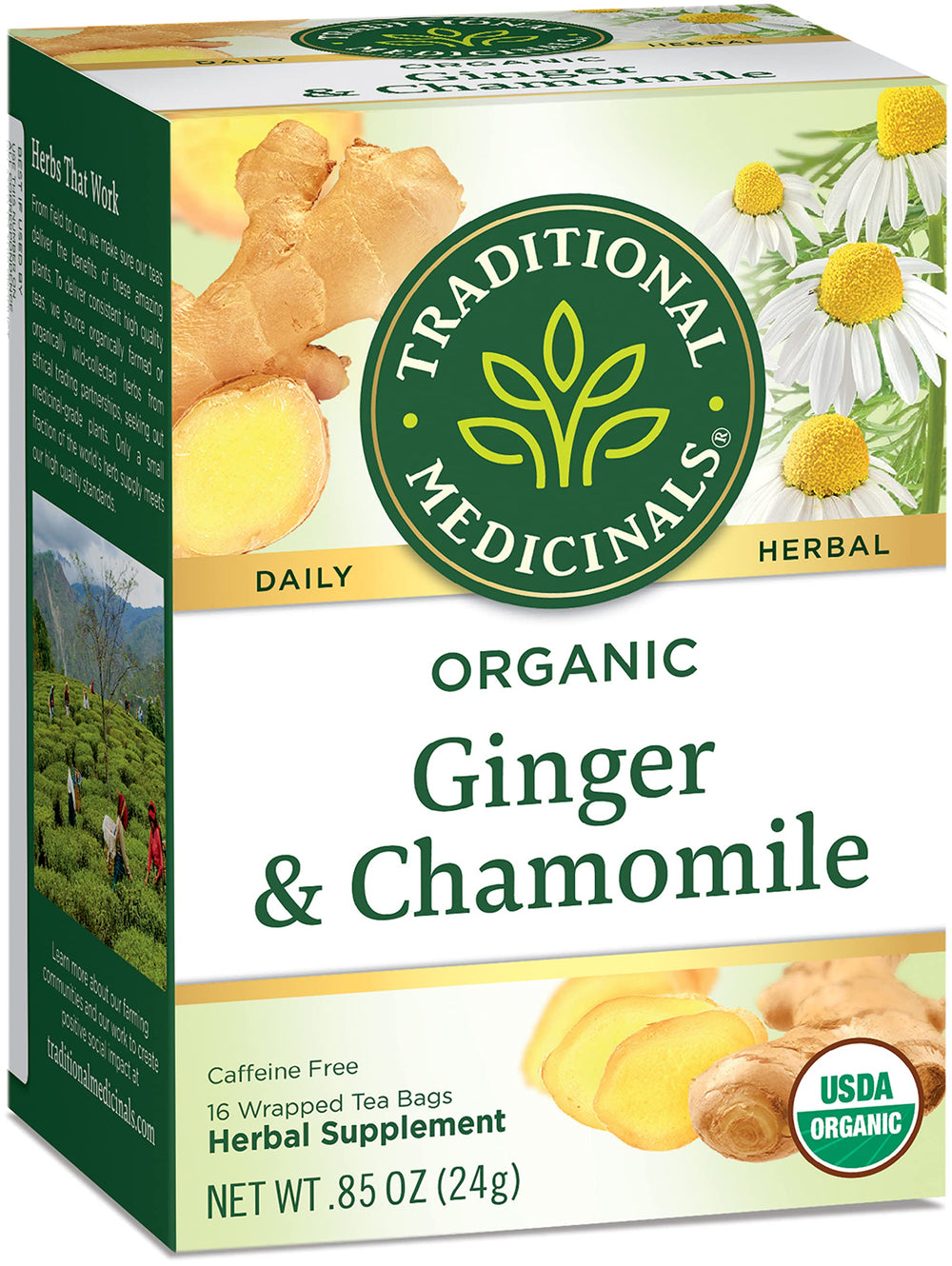 Aromas rise from Traditional Medicinals ginger chamomile tea for relaxation.