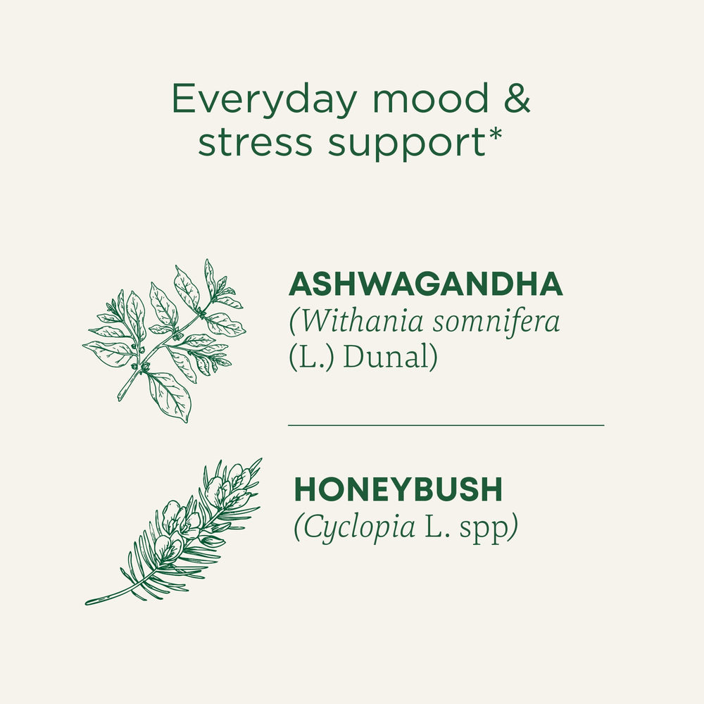 Close-up of ashwagandha, honeybush, and rose blend showing adaptogenic balance