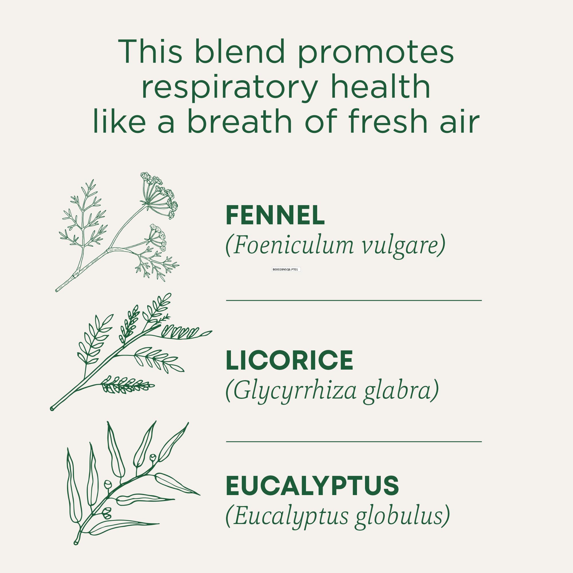 Traditional Medicinals Breathe Easy tea steeping in cup with steam for a soothing moment.