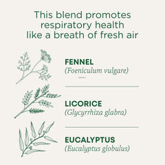 Traditional Medicinals Breathe Easy tea steeping in cup with steam for a soothing moment.