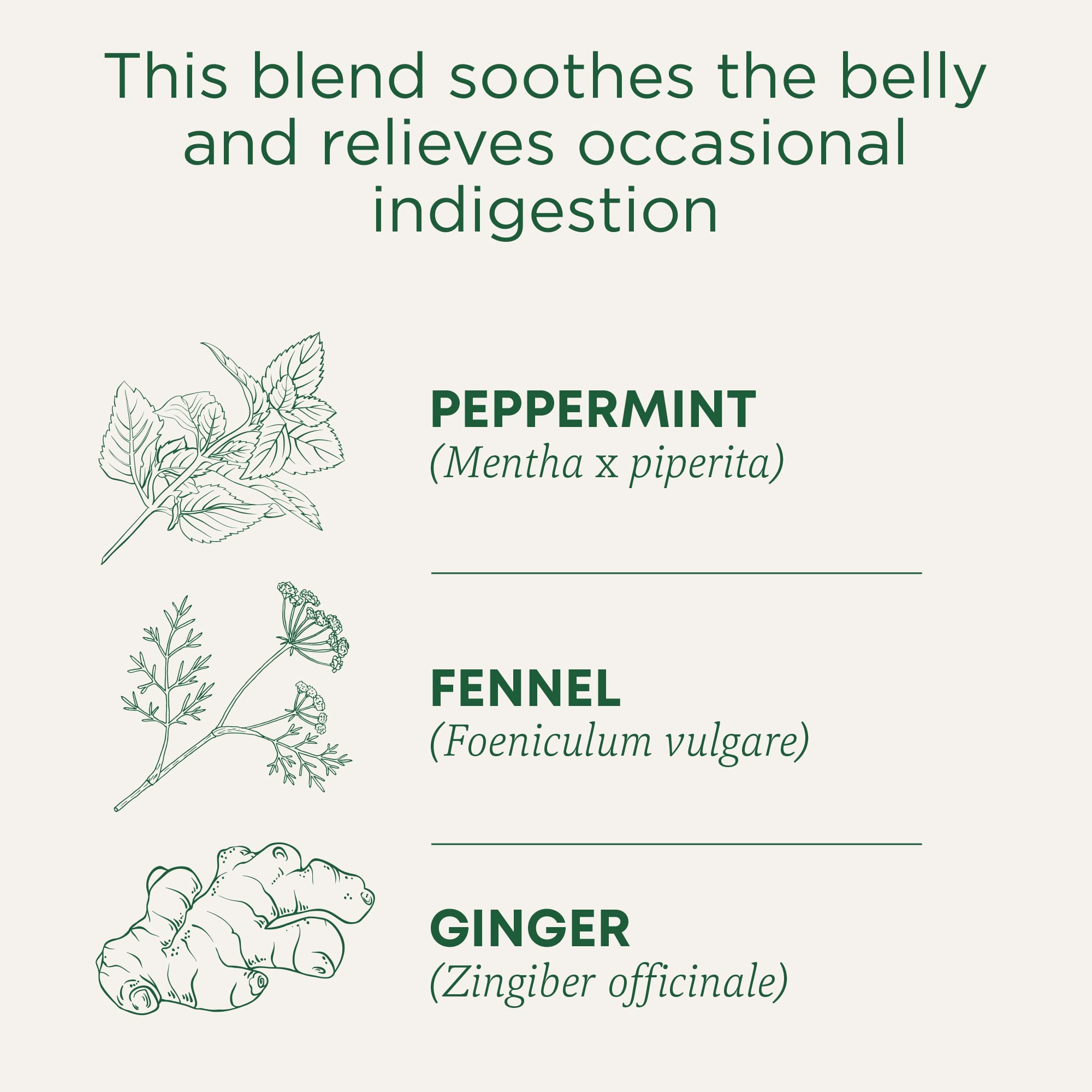 Steaming cup of Traditional Medicinals Belly Comfort Peppermint tea, a refreshing digestion-friendly sip