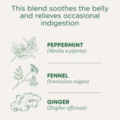 Steaming cup of Traditional Medicinals Belly Comfort Peppermint tea, a refreshing digestion-friendly sip