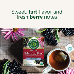 Hot cup of Traditional Medicinals tea with berry aroma