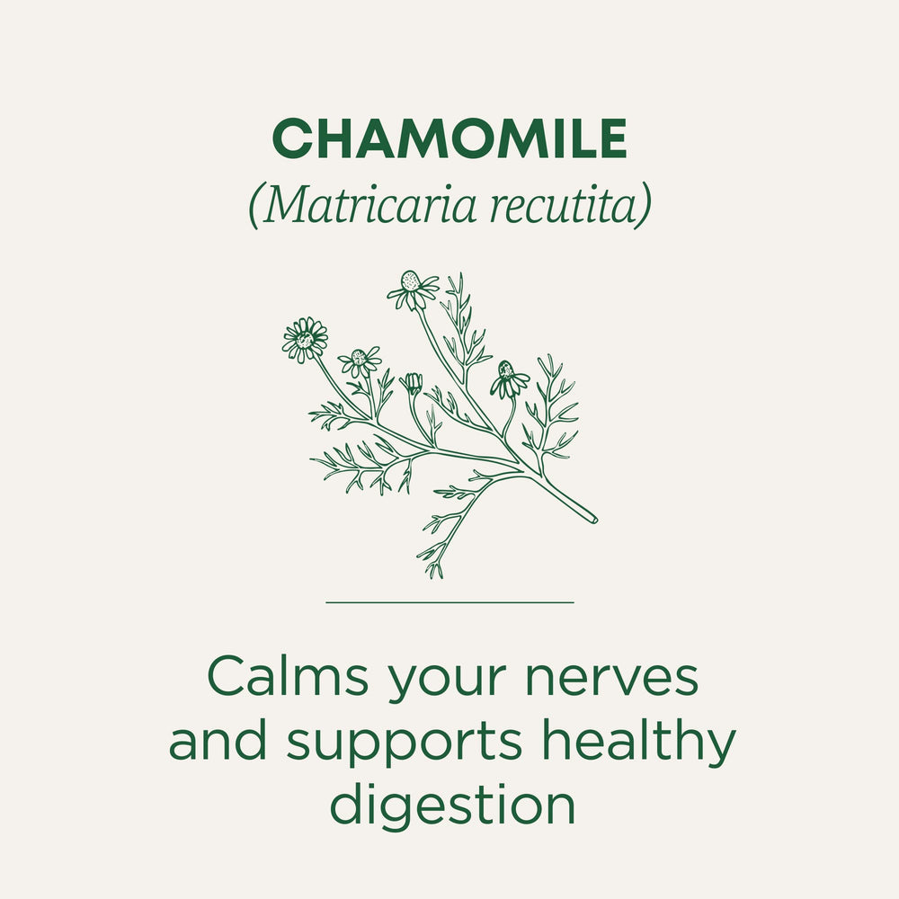 Traditional Medicinals chamomile flowers close-up highlighting aroma and potency.