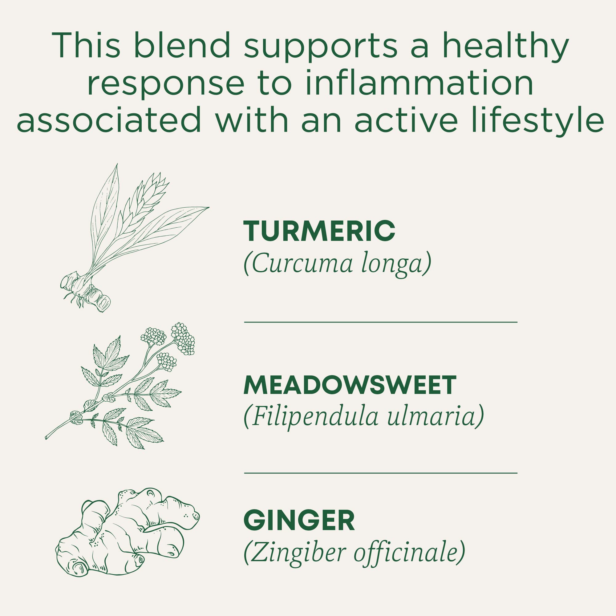 Traditional Medicinals compostable tea bags and packaging shown