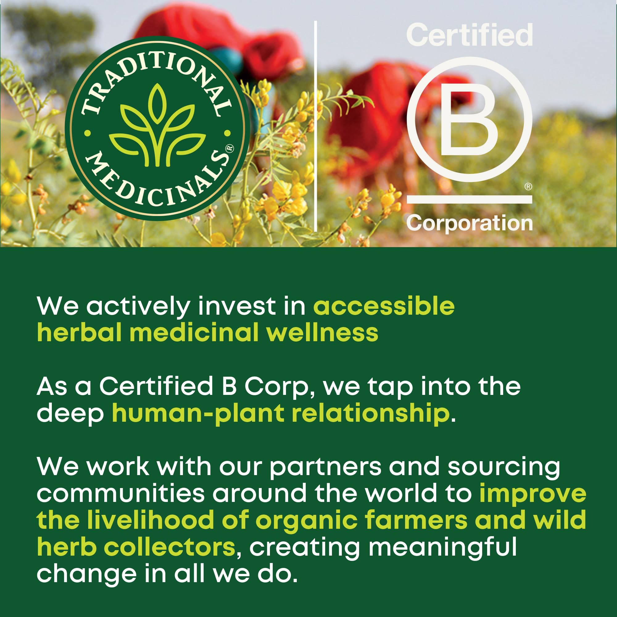 Traditional Medicinals compostable tea bags in eco-friendly packaging.