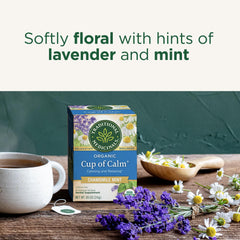 Traditional Medicinals Cup of Calm lavender chamomile blend fills the room with soft floral aroma.