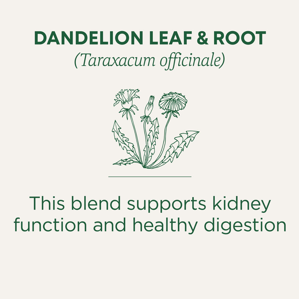 Traditional Medicinals dandelion leaf-root tea bags ready for a caffeine-free ritual