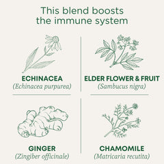 Steeping Traditional Medicinals tea in a mug