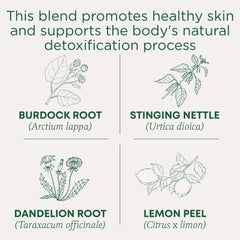 Traditional Medicinals Everyday Detox Lemon herbs image highlights burdock and dandelion for skin and liver support.