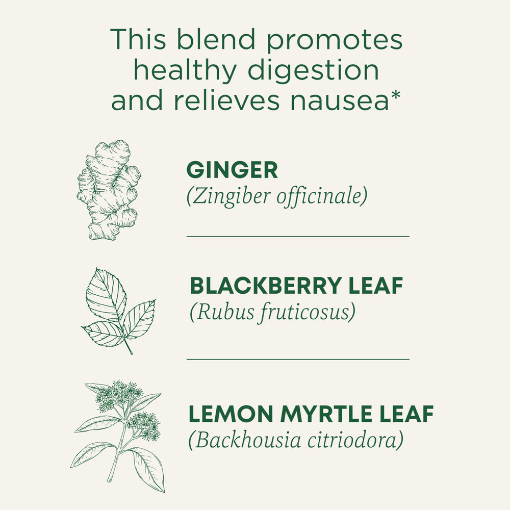 Traditional Medicinals Ginger Aid tea packets closeup for convenient post-meal ritual.