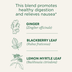 Traditional Medicinals Ginger Aid tea packets closeup for convenient post-meal ritual.
