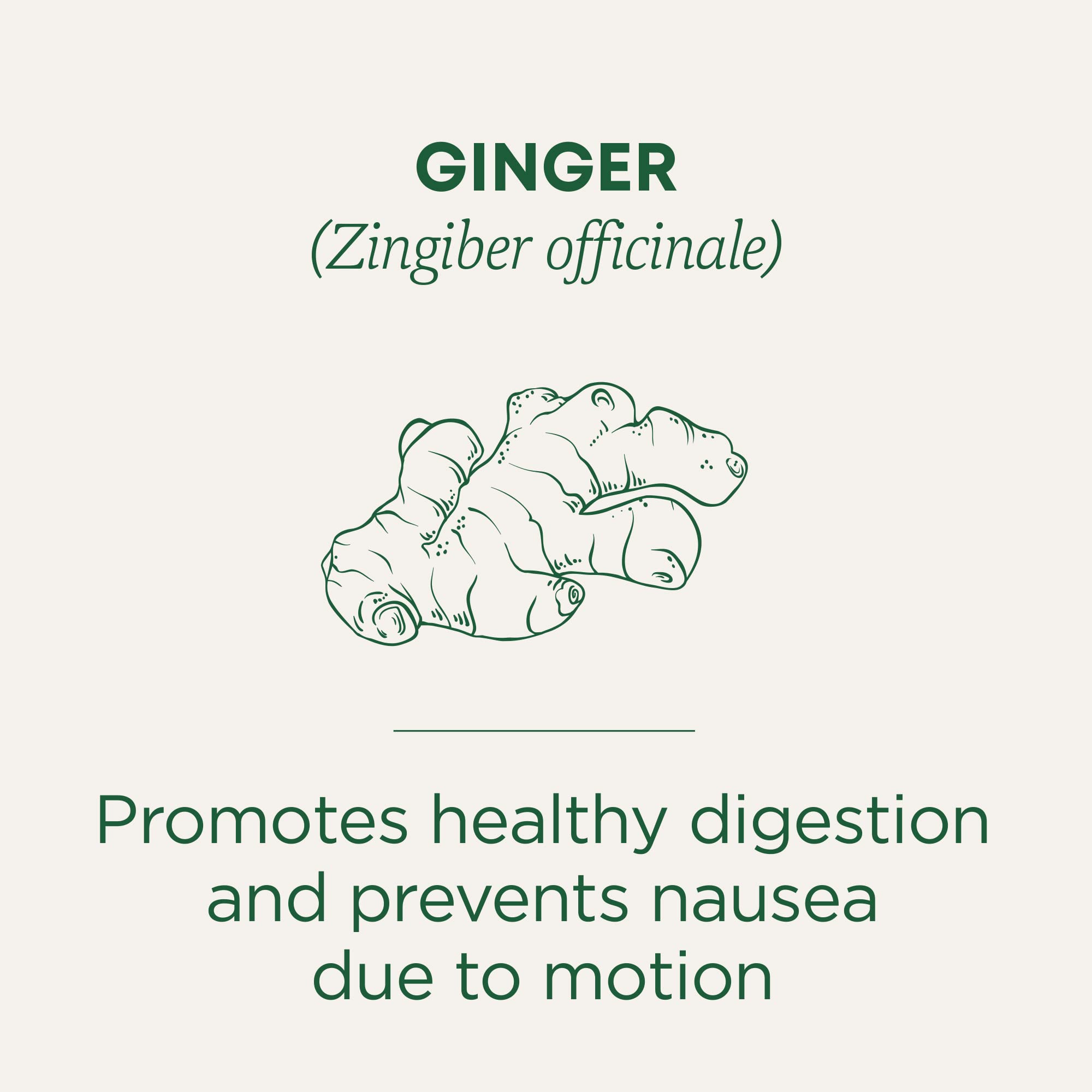 Traditional Medicinals Ginger Tea box packaging showing a trusted herbal brand.