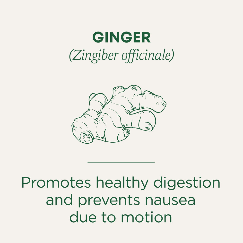 Traditional Medicinals Ginger Tea box packaging showing a trusted herbal brand.