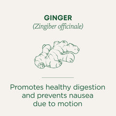 Traditional Medicinals Ginger Tea box packaging showing a trusted herbal brand.