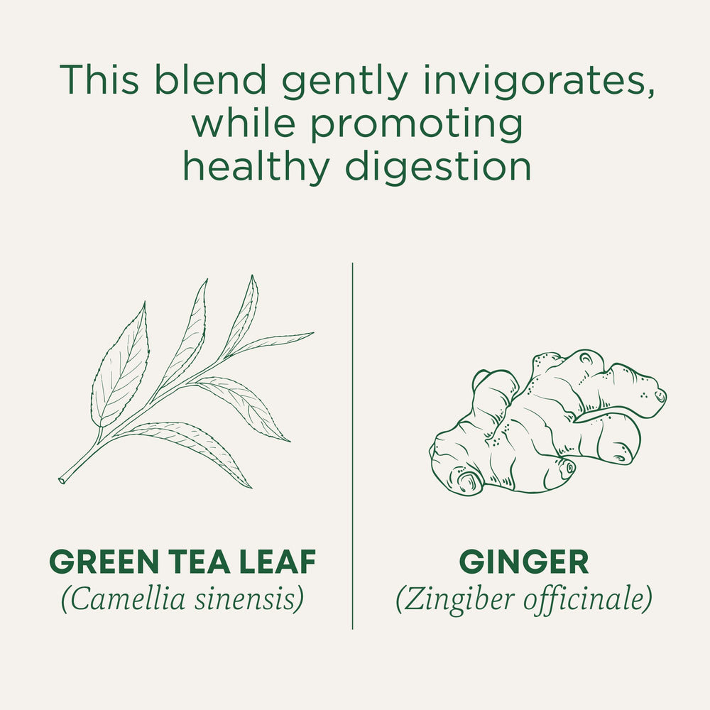 Traditional Medicinals Green Tea Ginger cup steaming for digestion-friendly moments