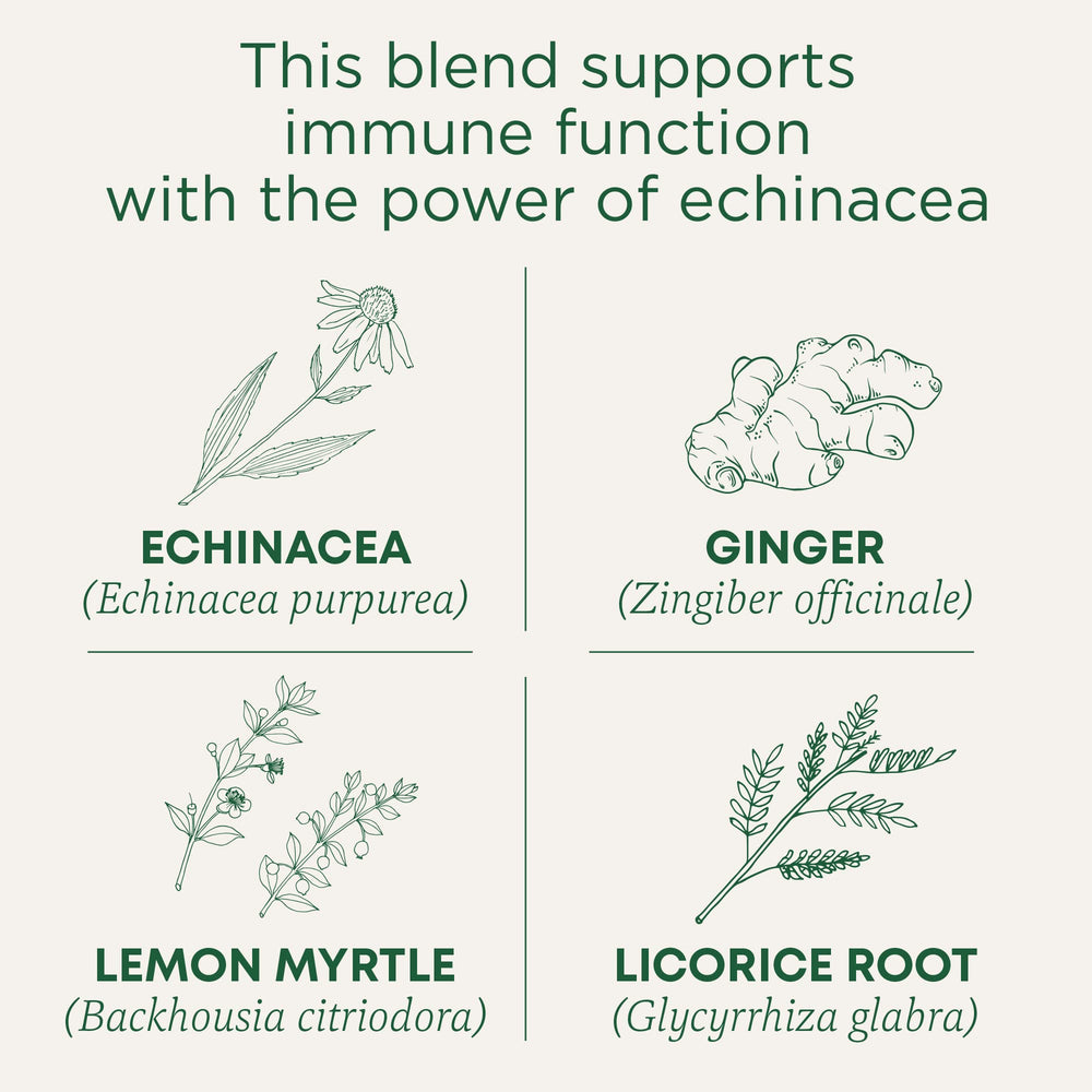 Traditional Medicinals Immune Zoom Lemon Ginger Tea cup steeping for a bright, aromatic infusion.