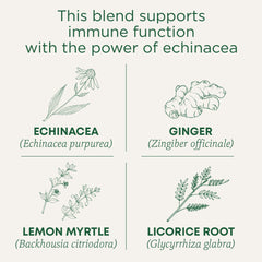 Traditional Medicinals Immune Zoom Lemon Ginger Tea cup steeping for a bright, aromatic infusion.